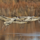 Image for article titled These Electrifying Photos Celebrate 50 Years Of USA's Wilderness Act